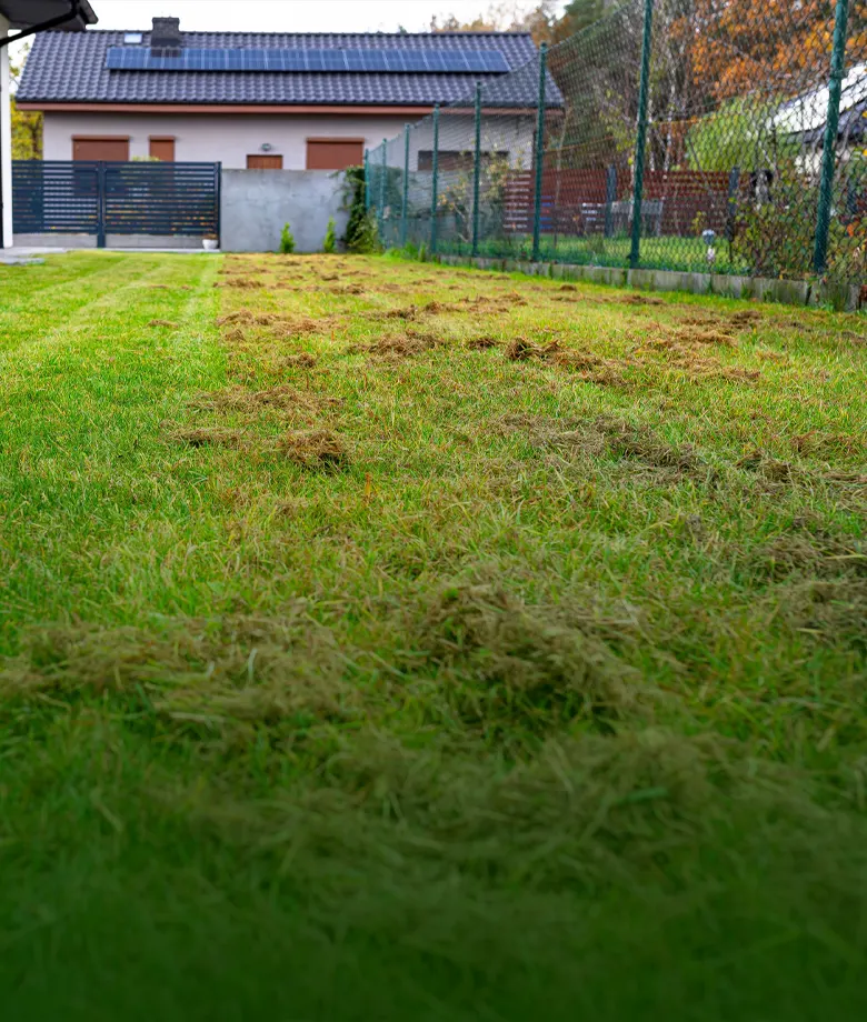 verticuteren